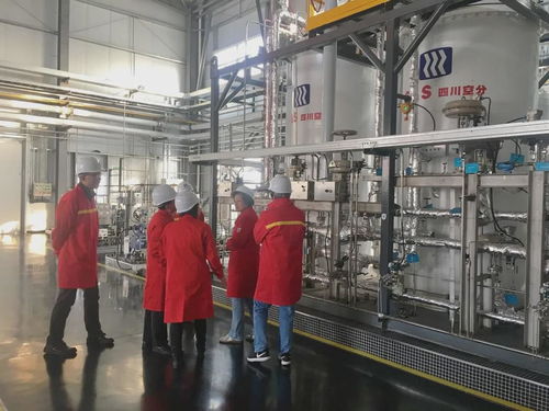 國內首套百萬方級LNG-BOG提取高純氦氣裝置通過科技成果鑒定，萬方宏盛科技引領行業突破